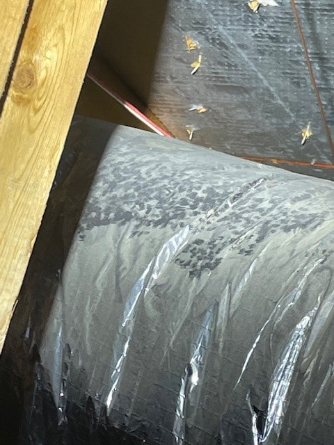 squirrel tracks in dust on hvac in attic